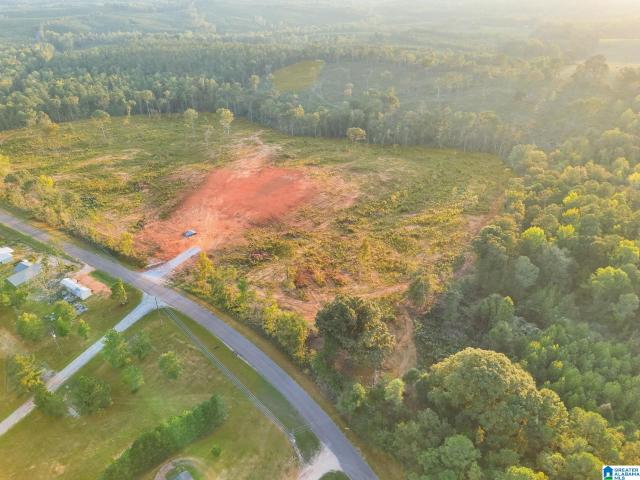 Land for sale in Clanton, Chilton County