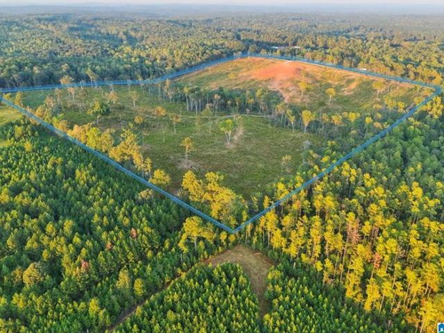 Land for sale in Clanton, Chilton County