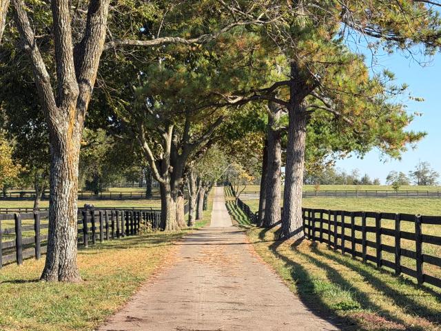 Farm for sale in Nicholasville, Jessamine County