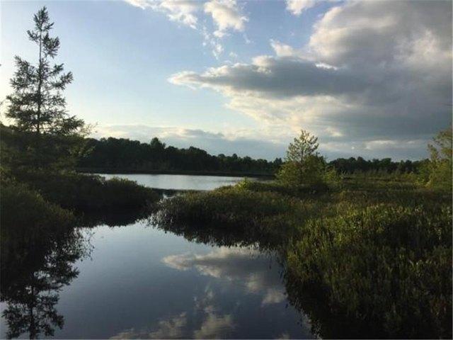 Land for sale in Frederic, Wisconsin