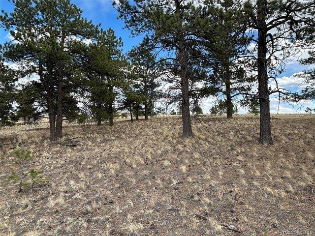 Land for sale in Hartsel, Park County