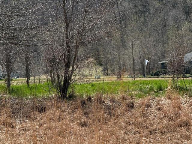 Land for sale in Lake City, Minnesota