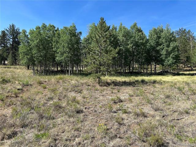 Land for sale in Hartsel, Colorado
