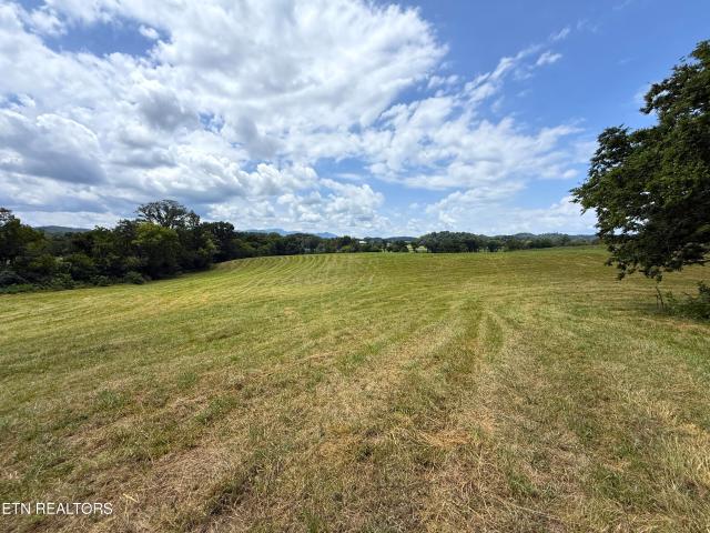 Land for sale in Tennessee