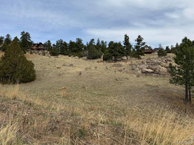 Land for sale in Livermore, Colorado