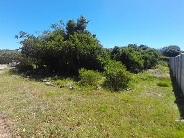 Land for sale in Cape St Francis, Eastern Cape