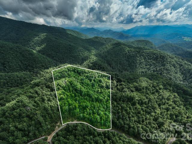 Land for sale in Marshall, North Carolina
