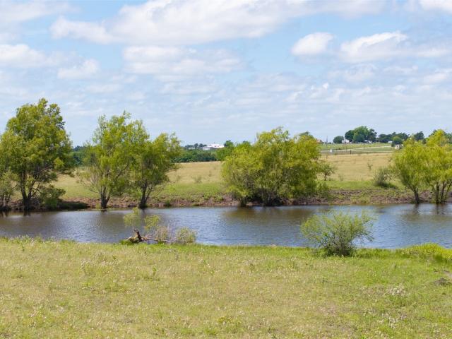 Land for sale in Chappell Hill, Texas