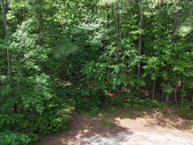 Land for sale in Ayden, North Carolina