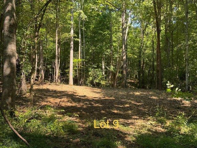 Land for sale in Monticello, Kentucky