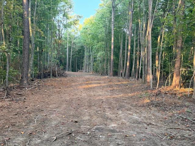 Land for sale in Monticello, Kentucky