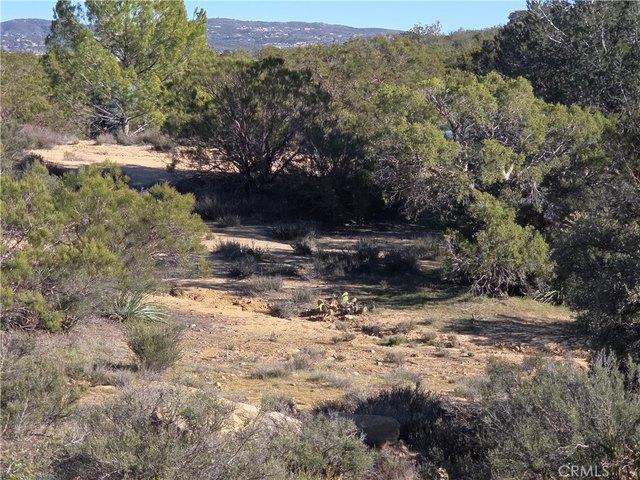 Land for sale in Anza, California