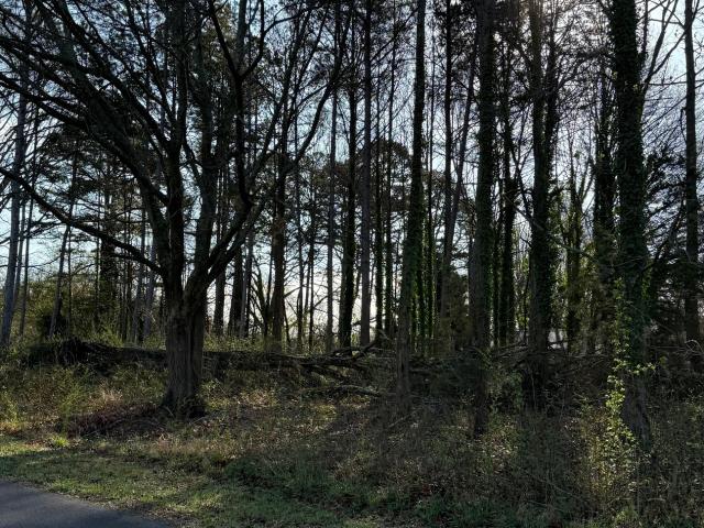 Land for sale in Lula, Georgia
