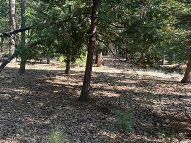 Land for sale in Foresthill, California