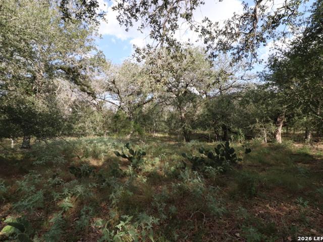 Farm for sale in Wilson, Texas