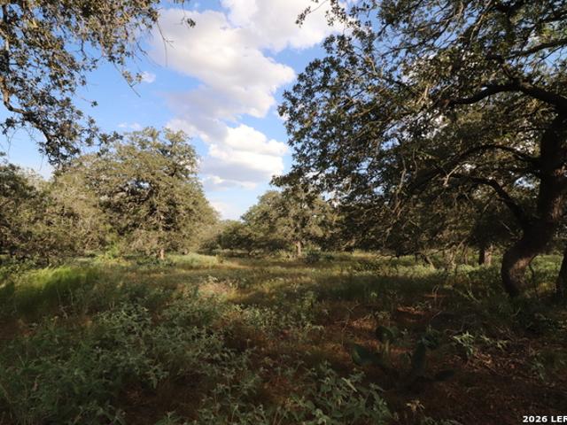Land for sale in Wilson, Texas