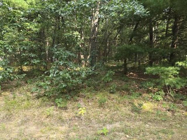 Land for sale in Houghton Lake