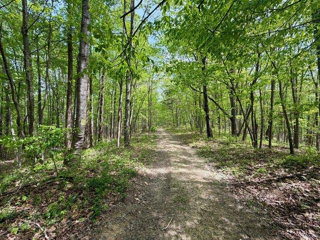 Land for sale in Argillite, Kentucky
