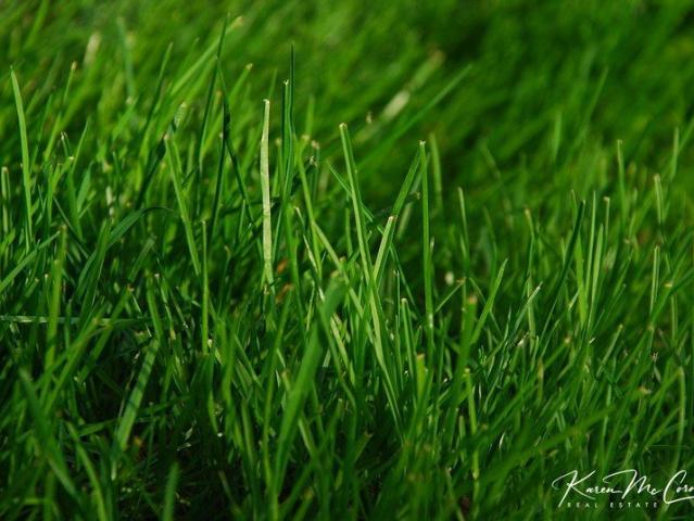 Land for sale in Nyora, Victoria