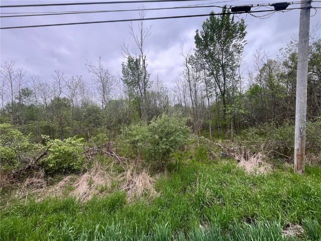 Land for sale in Clarence, New York