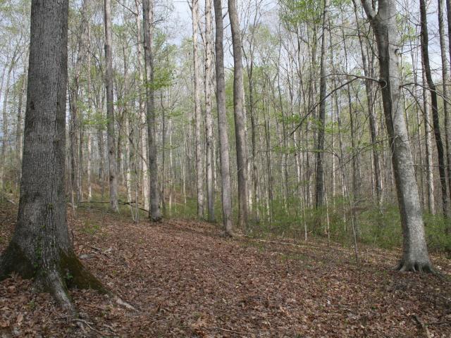Land for sale in Franklin Land for sale in Franklin