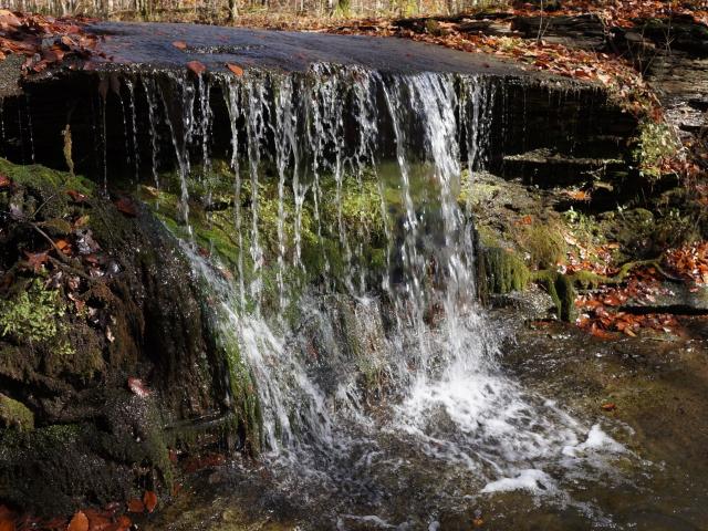 Land for sale in Tennessee