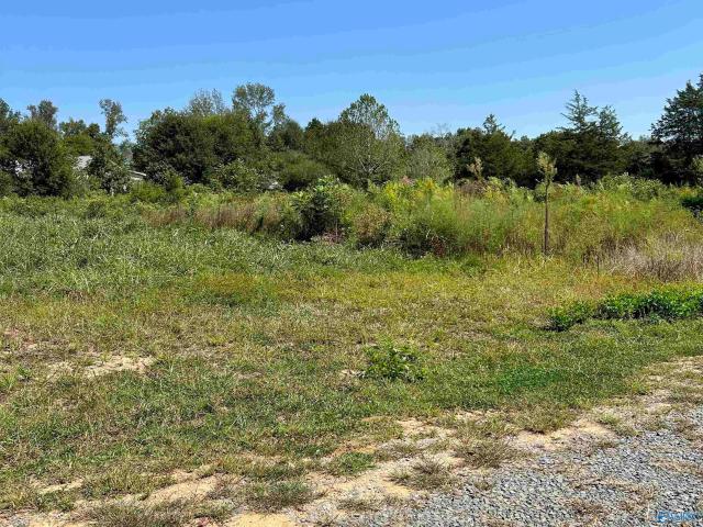 Land for sale in Albertville, Alabama