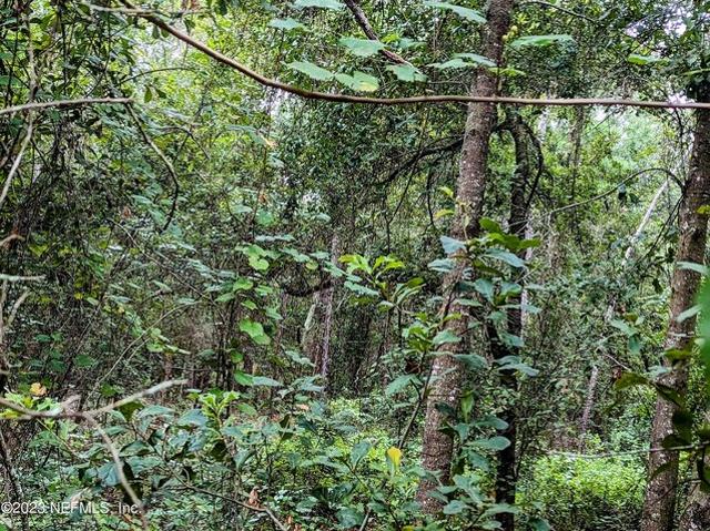 Land for sale in Keystone Heights, Florida