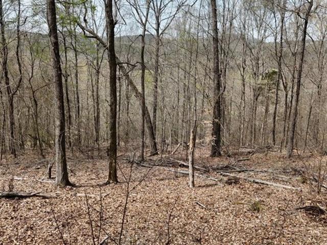 Land for sale in Decatur, East Tennessee