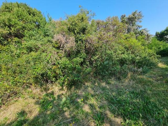 Land for sale in Cape St Francis, Eastern Cape