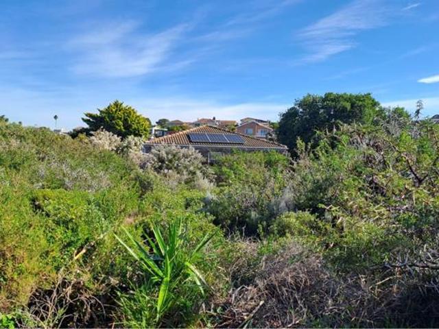 Land for sale in Cape St Francis, Eastern Cape