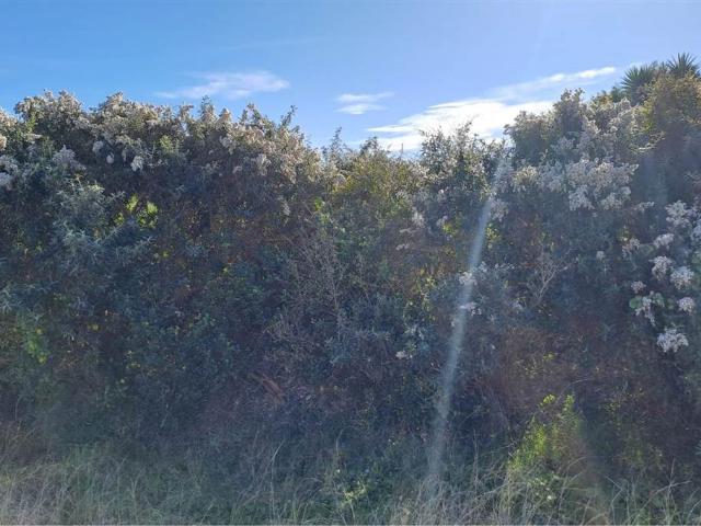 Land for sale in Cape St Francis, Eastern Cape