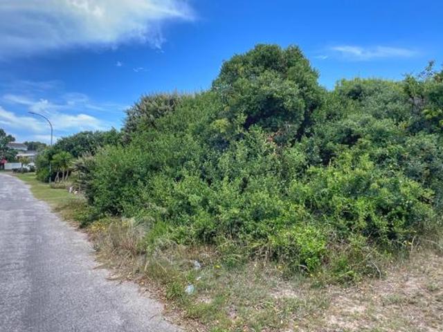 Land for sale in Cape St Francis, Eastern Cape