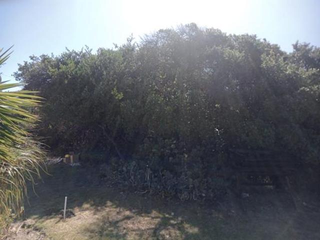 Land for sale in Cape St Francis, Eastern Cape