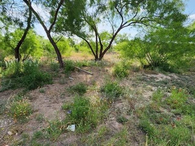 Land for sale in Eagle Pass, Texas