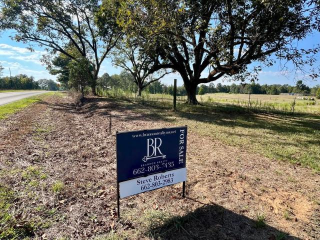 House for sale in Ellison Ridge, Winston County