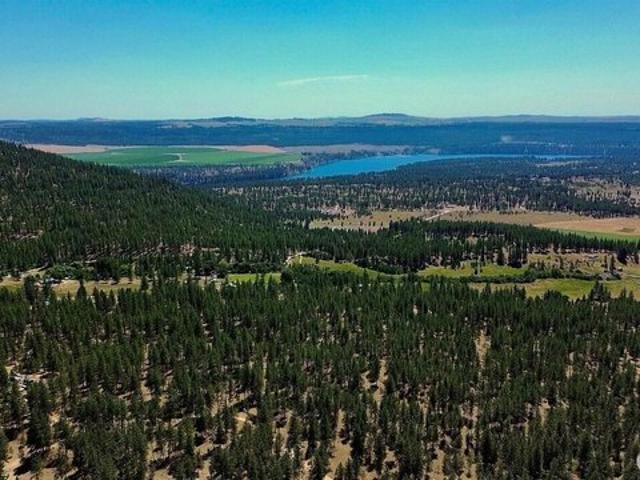 Land for sale in Tumtum, Washington