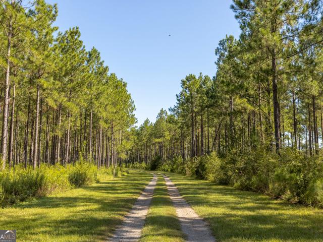 Land for sale in Smithville, Lee County