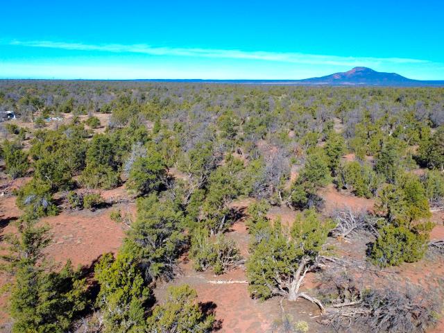 Land for sale in Williams, Arizona