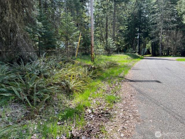 Land for sale in Ashford, Washington