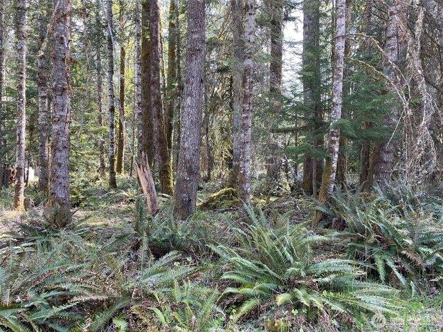Land for sale in Ashford, Washington