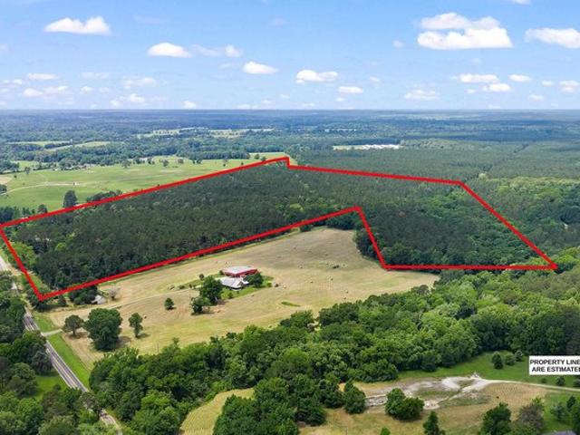 Farm for sale in Panola, Texas