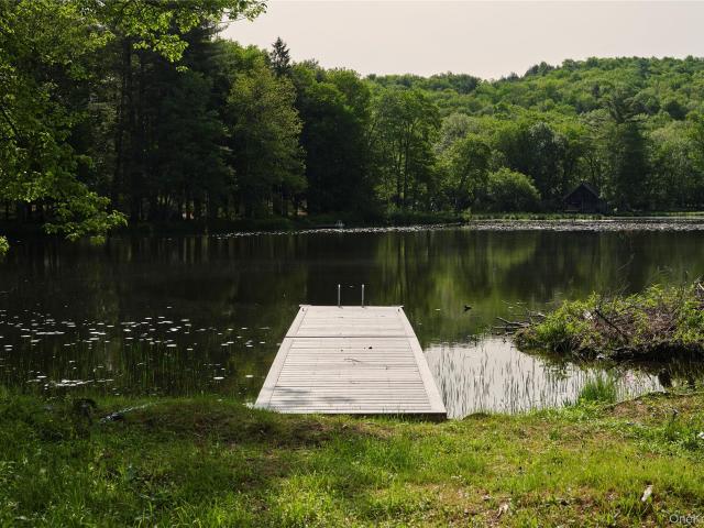 House for sale in Callicoon, New York