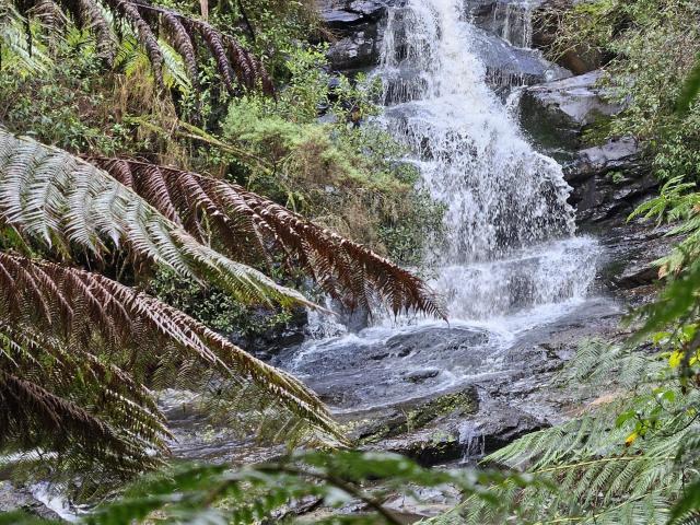 Property for sale in Grand Ridge, Victoria