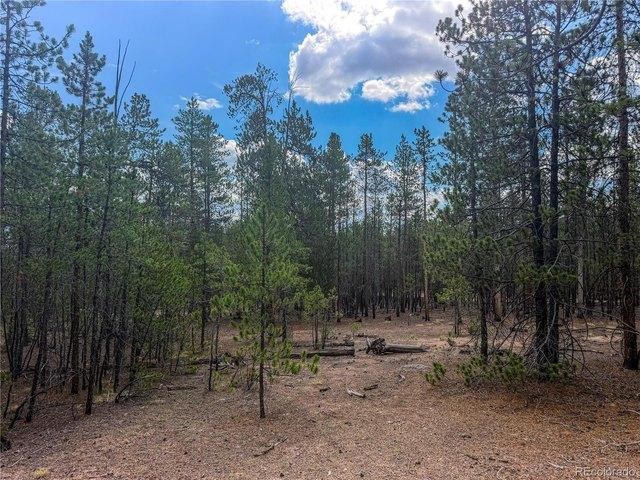 Land for sale in Leadville, Colorado