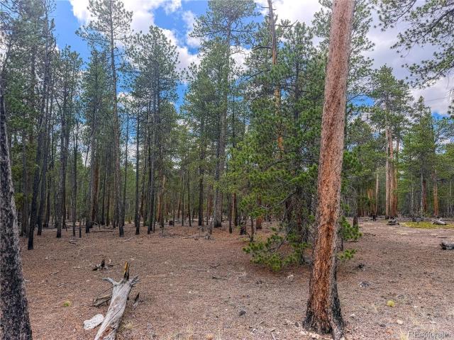 Land for sale in Leadville, Colorado