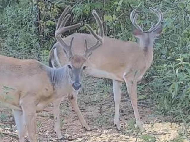 Land for sale in Hollywood, Jackson County