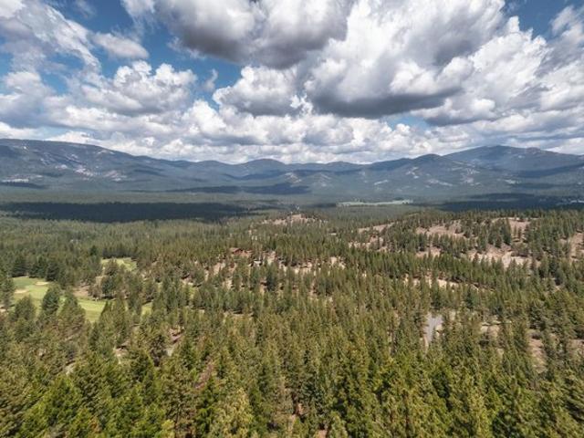 Land for sale in Portola, California