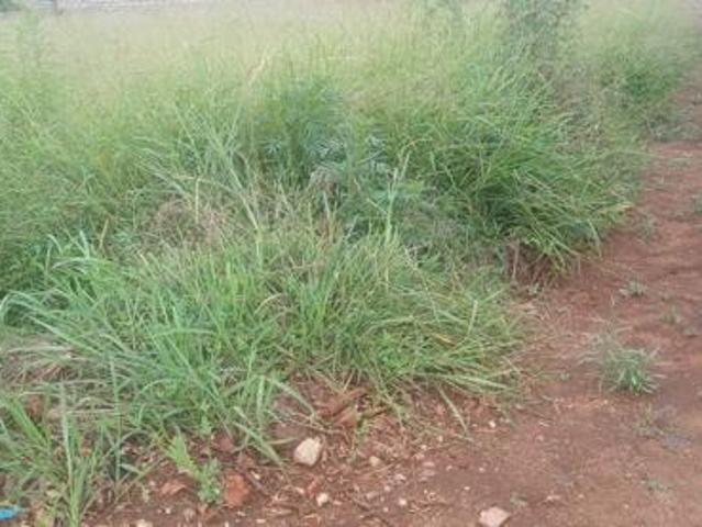 Land for sale in Potgietersrus, Limpopo