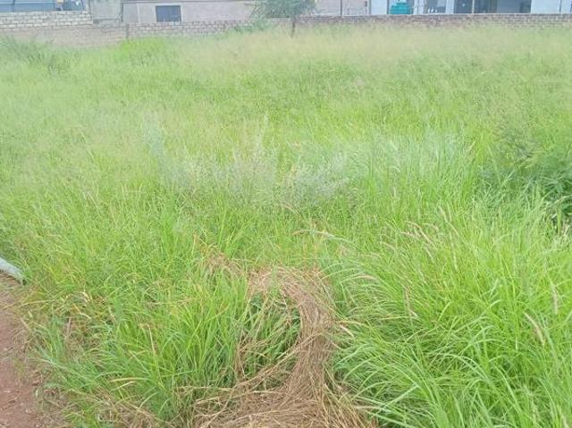 Land for sale in Potgietersrus, Limpopo